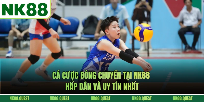 Cá Cược Bóng Chuyền Tại NK88 Hấp Dẫn Và Uy Tín Nhất
