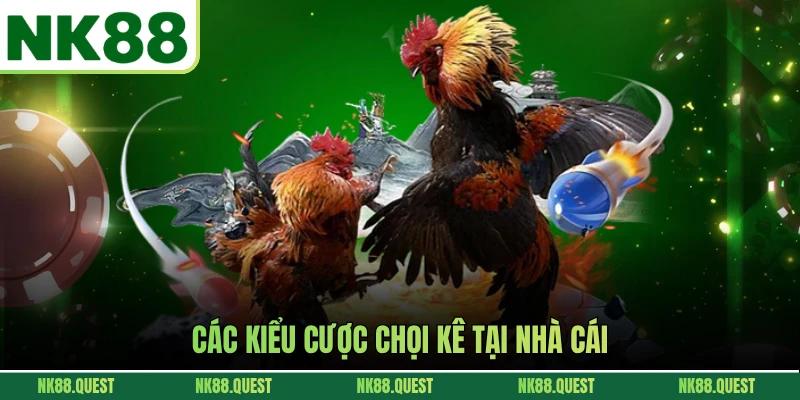 Các kiểu cược chọi kê tại nhà cái
