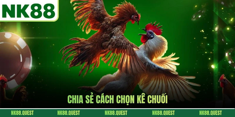 Chia sẻ cách chọn kê chuối