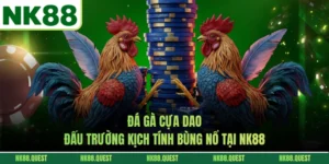 Đá Gà Cựa Dao - Đấu Trường Kịch Tính Bùng Nổ Tại NK88