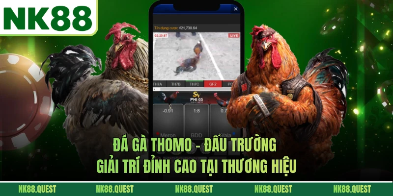 Đá Gà Thomo - Đấu Trường Giải Trí Đỉnh Cao Tại Thương Hiệu