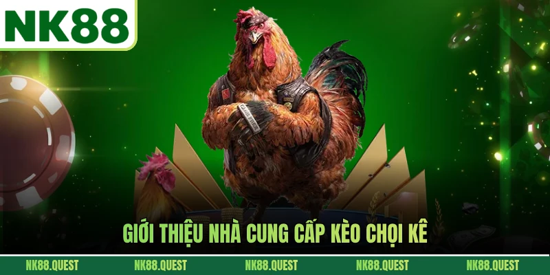 Giới thiệu nhà cung cấp kèo chọi kê