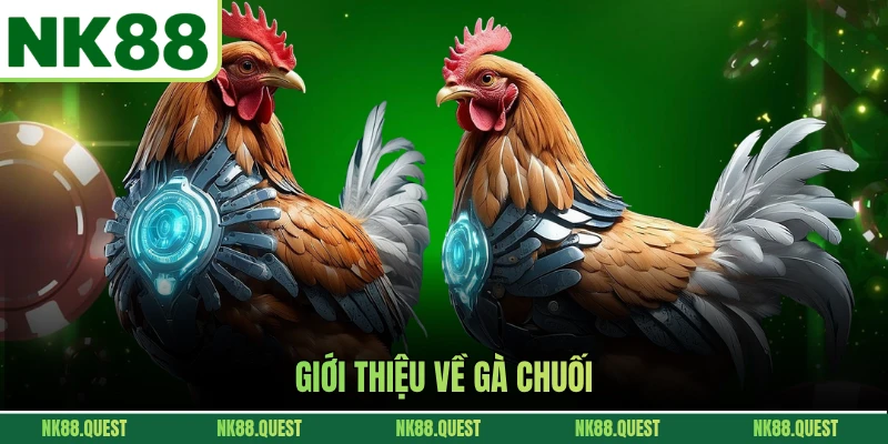 Giới thiệu về gà chuối