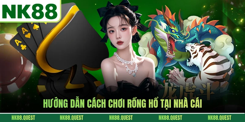 Hướng dẫn cách chơi rồng hổ tại nhà cái