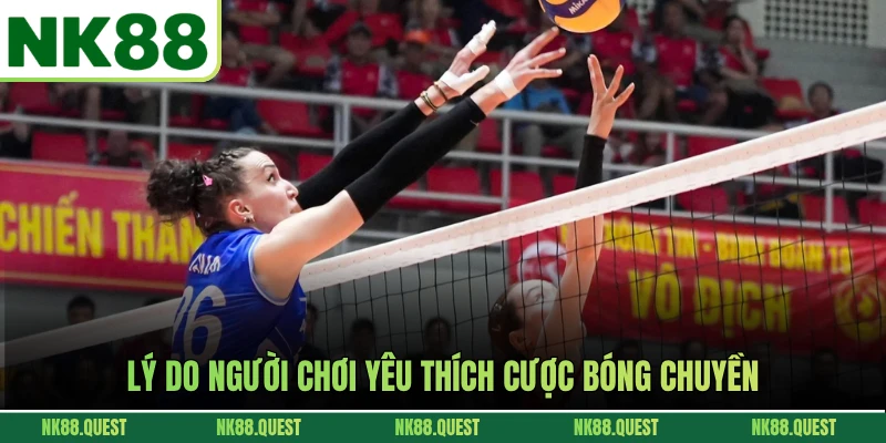 Lý do người chơi yêu thích cược bóng chuyền