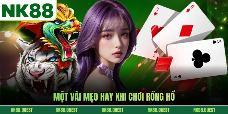 Một vài mẹo hay khi chơi rồng hổ
